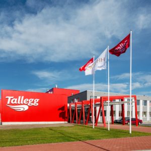 Tallegg-1